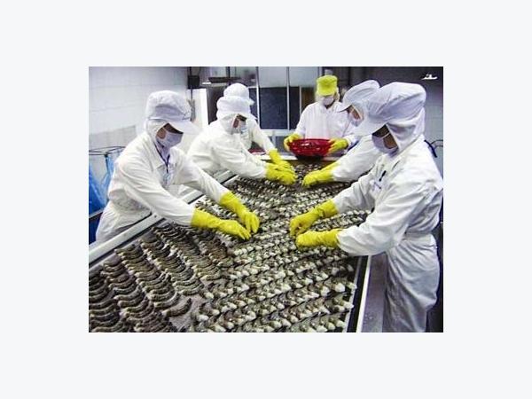 Xuất Khẩu Tôm Dễ Đạt Mục Tiêu 2,5 Tỷ USD