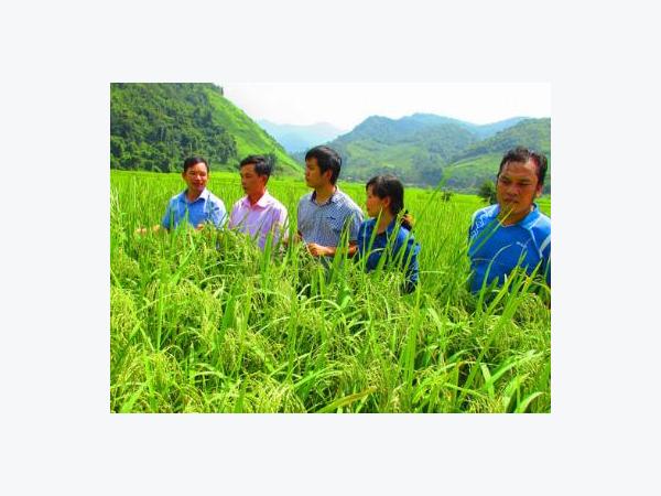 Đổi gian nan lấy những mùa vàng