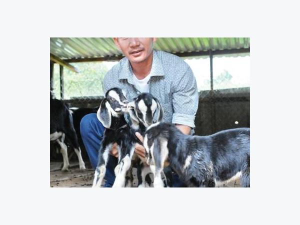 Tỷ phú người Ca Dong đầu tiên ở Sơn Long mua ô tô