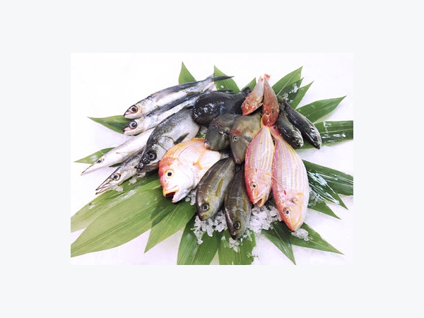 Giá thủy sản tại Khánh Hòa 14-10-2022