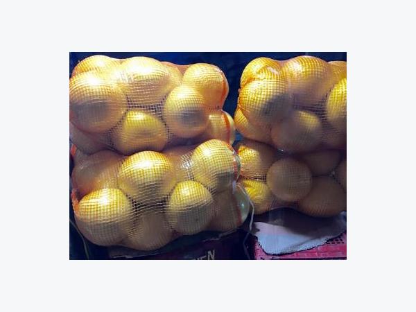 Cục Bảo vệ thực vật: Bưởi
