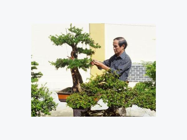 Bán quà cưới làm cây cảnh, tậu 3 xe hơi tiền tỷ