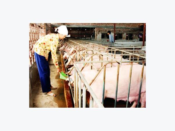 Ammazza! 42+ Elenchi di Quyết Flc Bị Bắt: Tuy nhiên theo tìm hiểu . Ammazza! 42+ Elenchi di Quyết Flc Bị Bắt: Tuy nhiên theo tìm hiểu .
