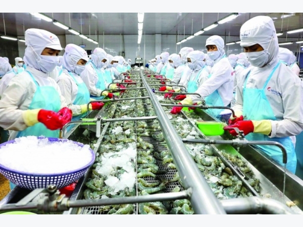 Hiệp định RCEP gia tăng xuất khẩu thuỷ sản sang Australia
