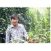 Trồng Xen Canh Cây Ăn Trái Cho Hiệu Quả Cao