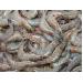 New Disease Detected in Vannamei Shrimps