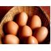 Could vitamin-enriched eggs enhance our health, profits?