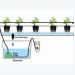 Completely Passive, Non-Recirculating Hydroponic Systems some Tips for Large Plants