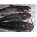 Virulent Aeromonas hydrophila in channel catfish