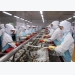 Việt Nam shrimp exports remain buoyant