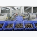 Phu Yen pours over 2.1 trillion VND into aquaculture