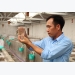 Bac Lieu focuses on high-tech shrimp farming, clean energy