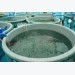 Fishmeal-free diets alter gut microbes, but cleared for use in recirculating systems