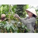 Agriculture sector targets 40 billion USD in export turnover