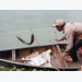 Bình Định: Đổi đời nhờ nuôi cá chình