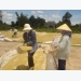 Auspicious start to Vietnamese rice export in 2018