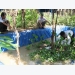nuoi-luon-sinh-san-bang-ban-nhan-tao-cho-nang-suat-uu-viet