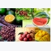 Vietnam’s fruit exporters prosper