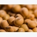 High-oleic soybeans achieve final global regulatory milestone