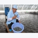 Shrimp exports to major markets drop