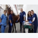 New app validated for conducting electrocardiograms on horses