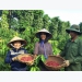 NESCAFÉ promotes Vietnamese coffee to the world