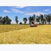 Experts make proposals towards sustainable agricultural production