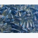 Researchers examine antimicrobial resistance potential in aquaculture