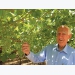 Secrets of a visionary fruit farmer