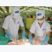 Seafood processor Hùng Vương to sell 5 million treasury shares