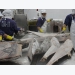 Vietnamese tuna enjoys benefit from the US-China trade tension