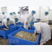 European consumers favour clam and scallops from Vietnam