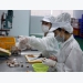 Agriculture ministry working on project to develop agricultural processing