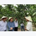 Public-private co-operation helps Mekong farmers overcome double challenge