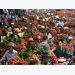 Vietnam's agriculture sector targets $40 billion export