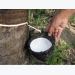 Rubber exported from Vietnam to India nearly double in value