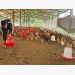 Agriculture entrepreneurs - start-ups full of passion