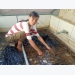 Cô gái 9X nuôi lươn sạch thu lãi nửa tỉ đồng mỗi năm