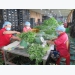 Ho Chi Minh City promotes local agricultural produce at affordable prices