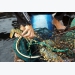 trung-quoc-xem-xet-tao-co-che-dac-biet-cho-tom-hum-viet-nam