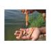 loai-tru-cypermethrin-deltamethrin-enrofloxacin-trong-nuoi-trong-thuy-san-de-cuu-nganh-tom