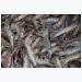 Shrimp EMS in Latin America identified