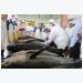 Japanese tariffs hobble Vietnamese tuna exports