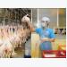 Vietnamese chicken breasts to be exported to Japan