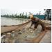 Nâng chất sản phẩm nông nghiệp để không thua trên sân nhà