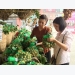 Vietnam may export longans to Australia in 2019