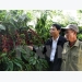 Market to bode well for coffee export