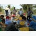 chuyen-giao-nhieu-mo-hinh-thuy-san-hieu-qua