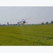 Vietnam studies unmanned helicopters for agriculture