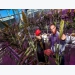 Researchers aim to reduce nitrogen fertilizer use